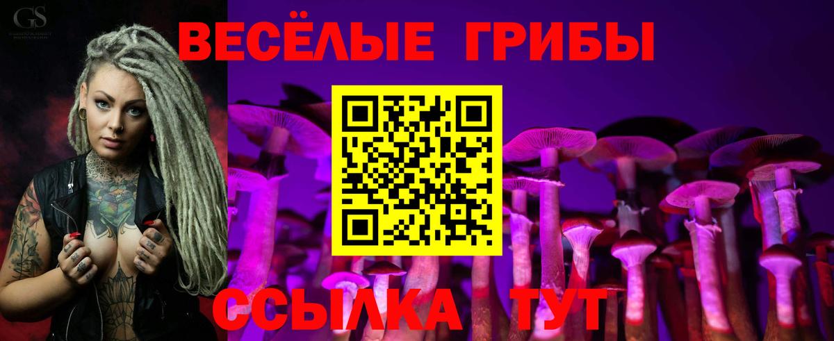 Псилоцибиновые грибы Psilocybe Добрянка
